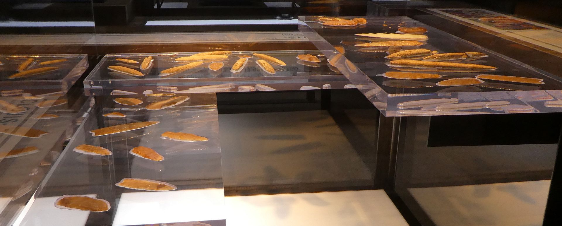 Ancient America The RicheyRoberts Clovis site (museum tour)